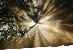 Overcoming Anxiety and Depression with Cognitive Behavioral Therapy