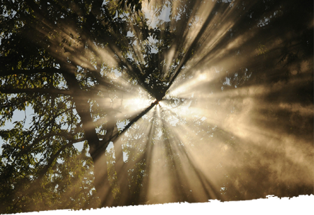 new blog img